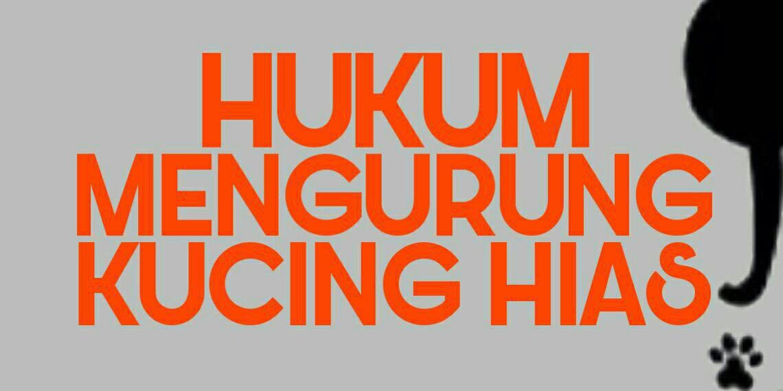 Hukum Mengurung Kucing Hias