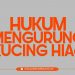 Hukum Mengurung Kucing Hias