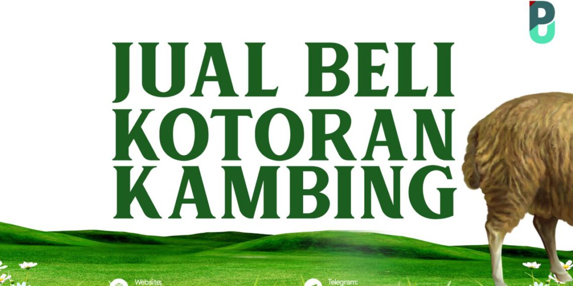Jual Beli Kotoran Kambing