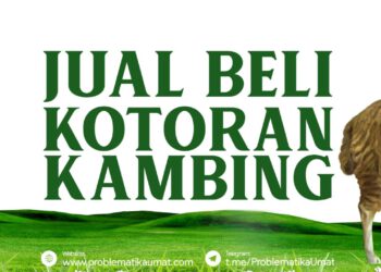 Jual Beli Kotoran Kambing
