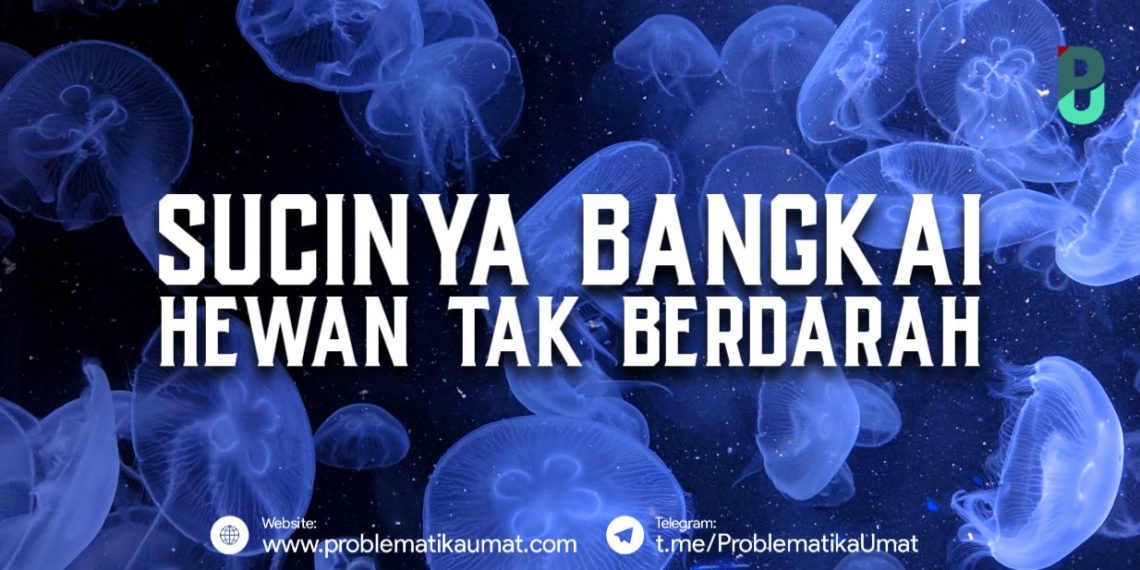 Sucinya Bangkai Hewan Tak Berdarah