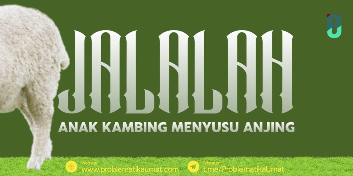Jallalah, Anak Kambing Menyusu Anjing