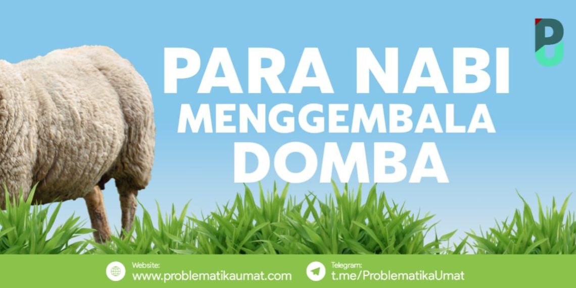 Para Nabi Menggembala Domba