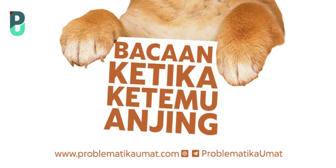 Bacaan Ketika Ketemu Anjing ?