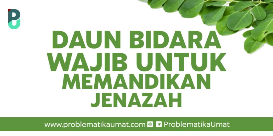 Daun Bidara Wajib Untuk Memandikan Jenazah ?