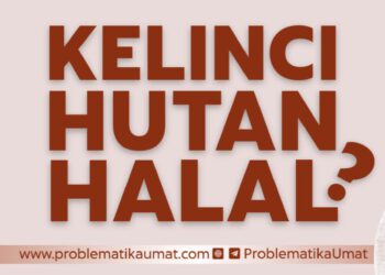 Kelinci Hutan Halal?