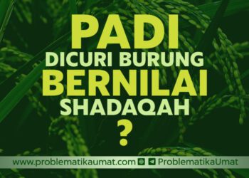 Padi Dicuri Burung Dinilai Shodaqoh?
