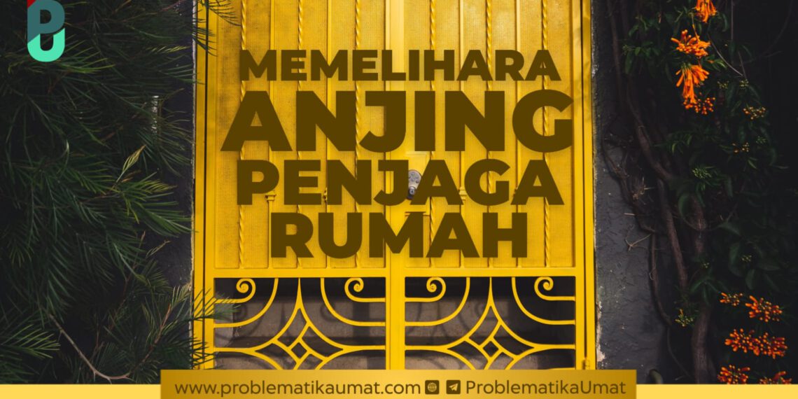 Memelihara Anjing Penjaga Rumah