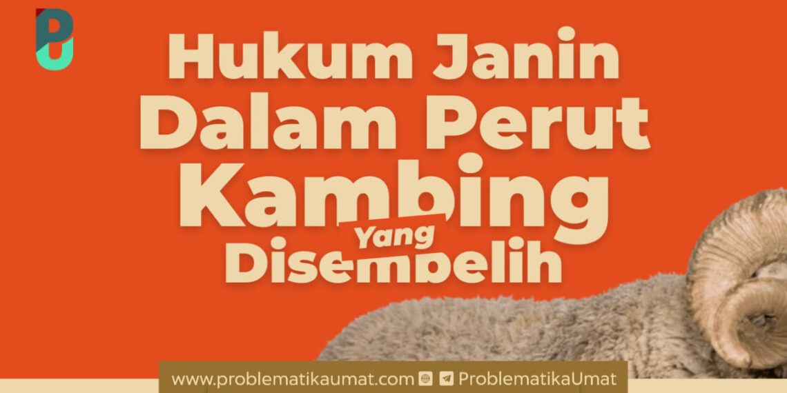 Hukum Janin dalam Perut Kambing Yang Disembelih