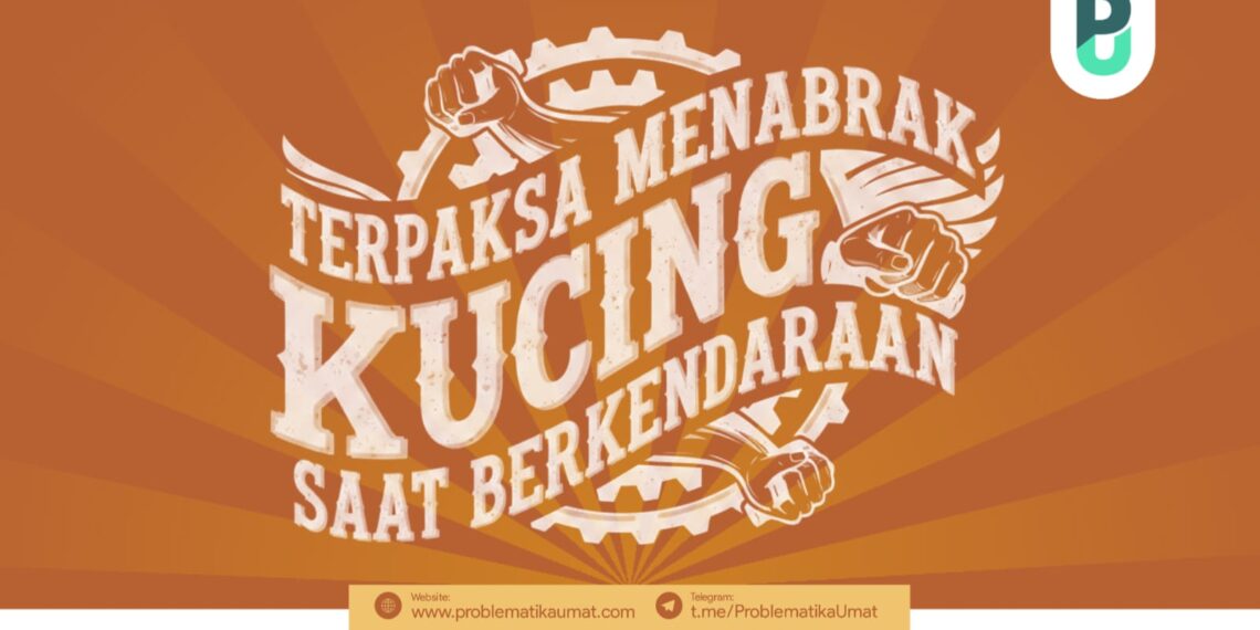 TERPAKSA MENABRAK KUCING SAAT BERKENDARAAN